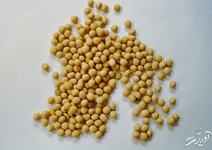 فواید سویا برای پوست سویا